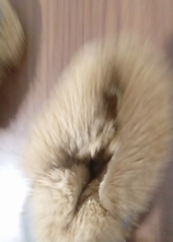 Erkek Çocuk Gri Sıcak Kürklü Panduf - Görsel 5