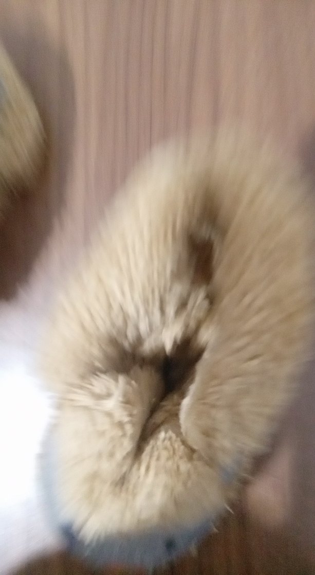 Erkek Çocuk Gri Sıcak Kürklü Panduf - Görsel 5