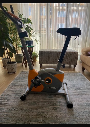 Dynamic 380 dikey kondisyon bisikleti
