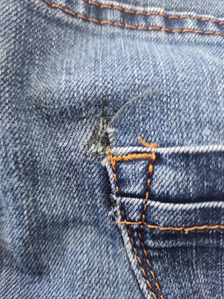 mavi düşük bel pantolon - Görsel 5