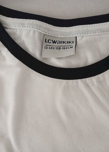 LC Waikiki Renkli Baskılı Erkek Tişört