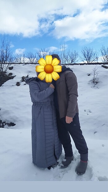 Mont gri
