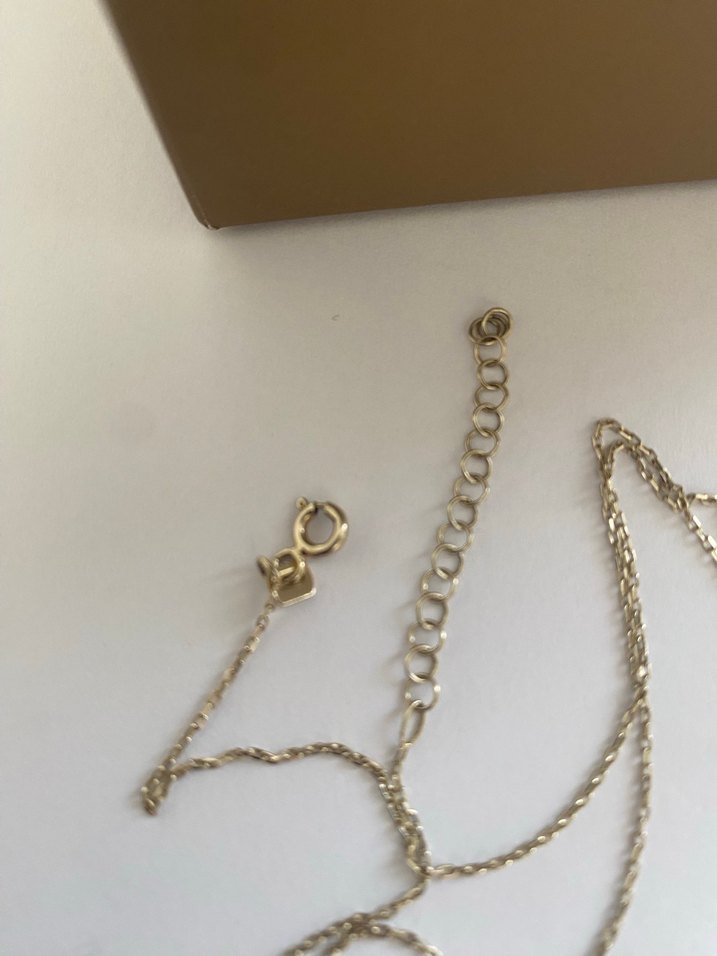 Altın Renk Uzun Zincir İsim Kolyesi - Görsel 4