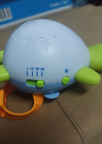 uyku arkadaşı kaplumbağa - Görsel 4