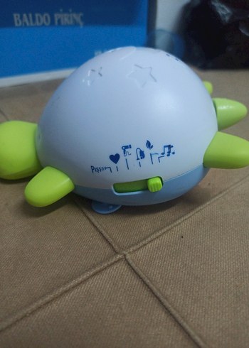 uyku arkadaşı kaplumbağa - Görsel 2