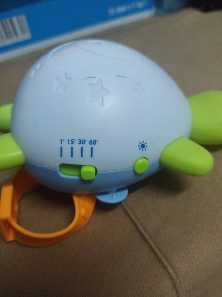 uyku arkadaşı kaplumbağa - Görsel 4