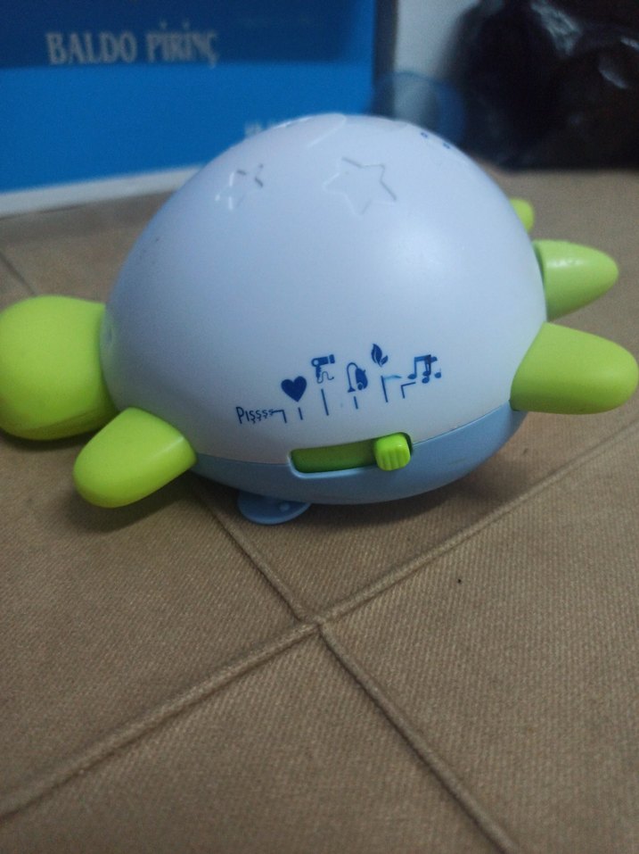 uyku arkadaşı kaplumbağa - Görsel 2