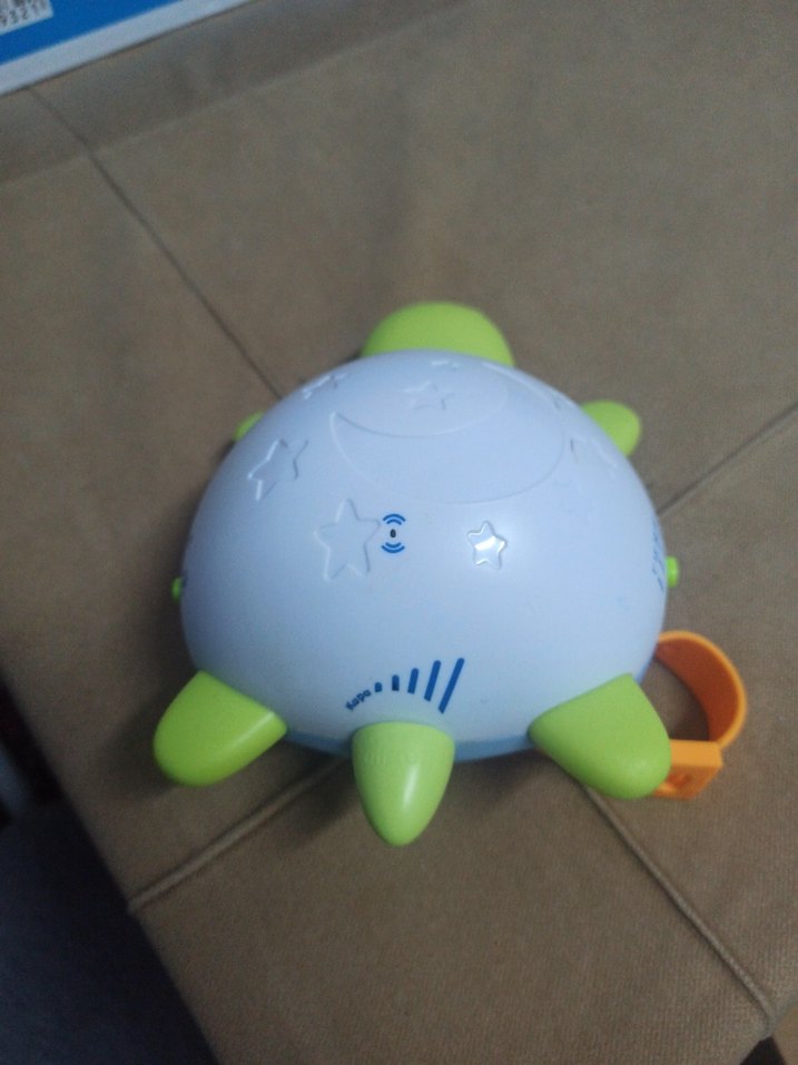 uyku arkadaşı kaplumbağa - Görsel 3