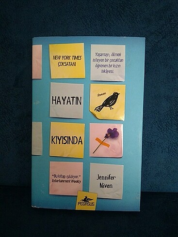 Hayatın kıyısında
