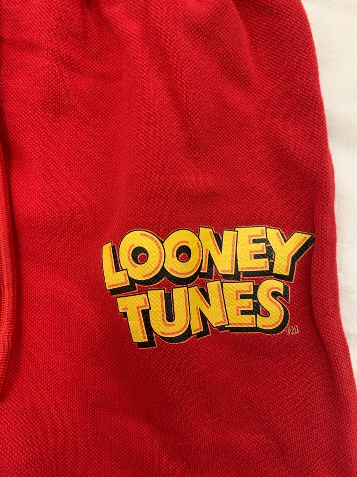 Looney Tunes Baskılı Erkek Çocuk Takımı - Görsel 4