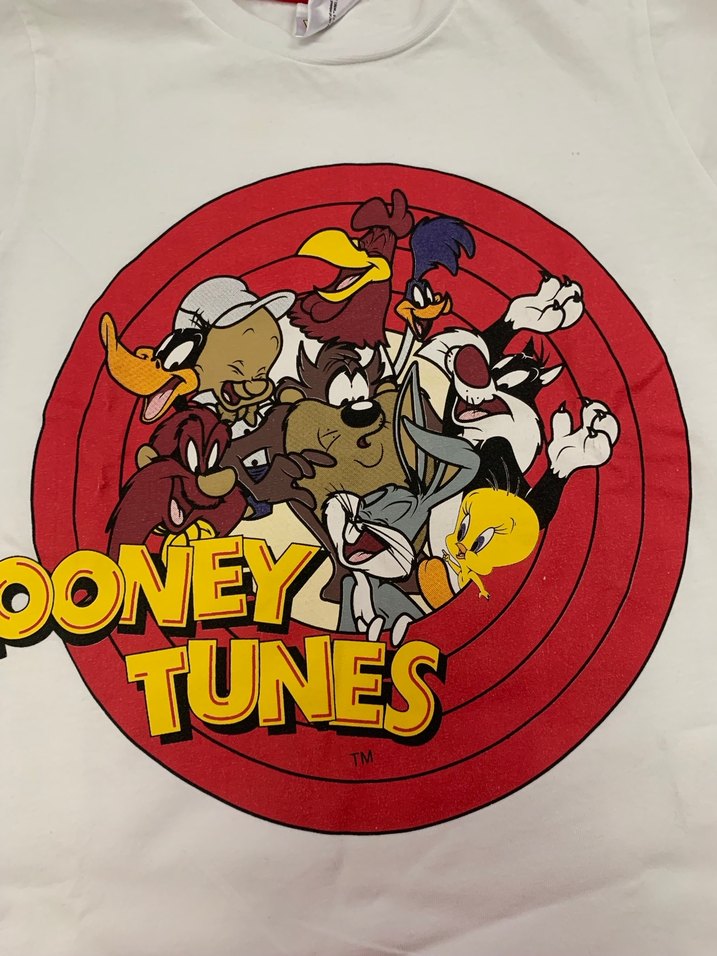 Looney Tunes Baskılı Erkek Çocuk Takımı - Görsel 3