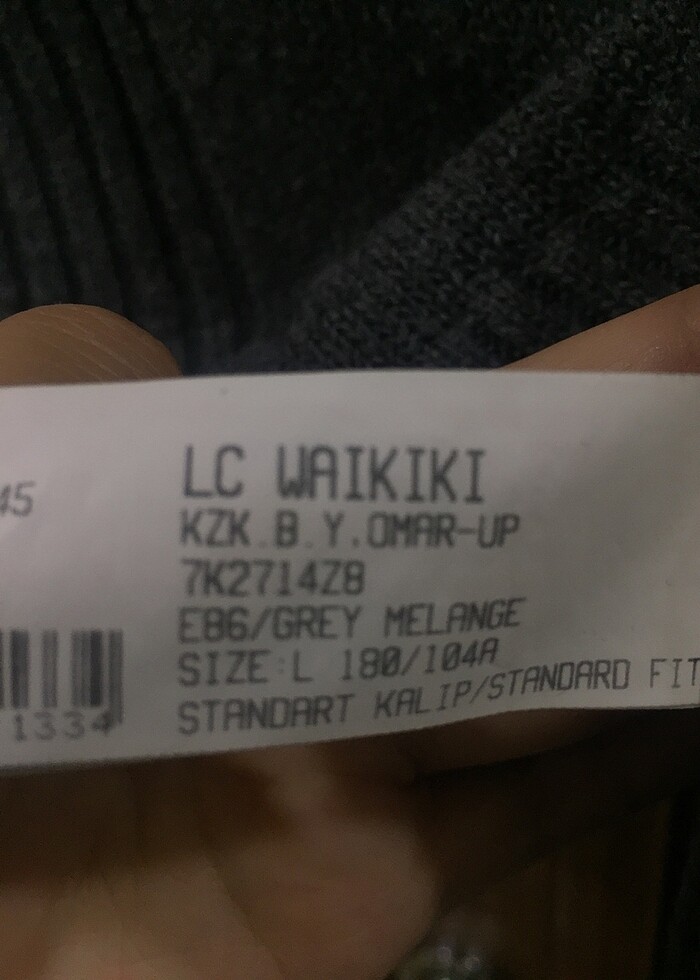 Erkek kazak - Görsel 3