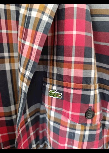 Lacoste Erkek Gömlek - Görsel 2