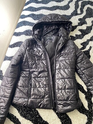bershka mont