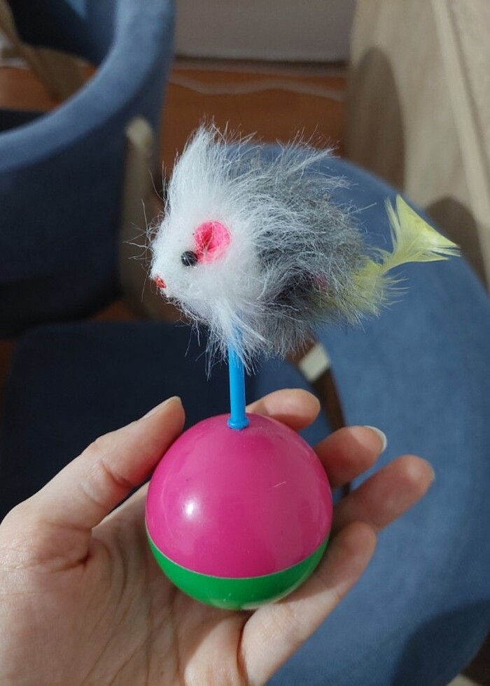 Kedi hacıyatmaz oyuncak - Görsel 2