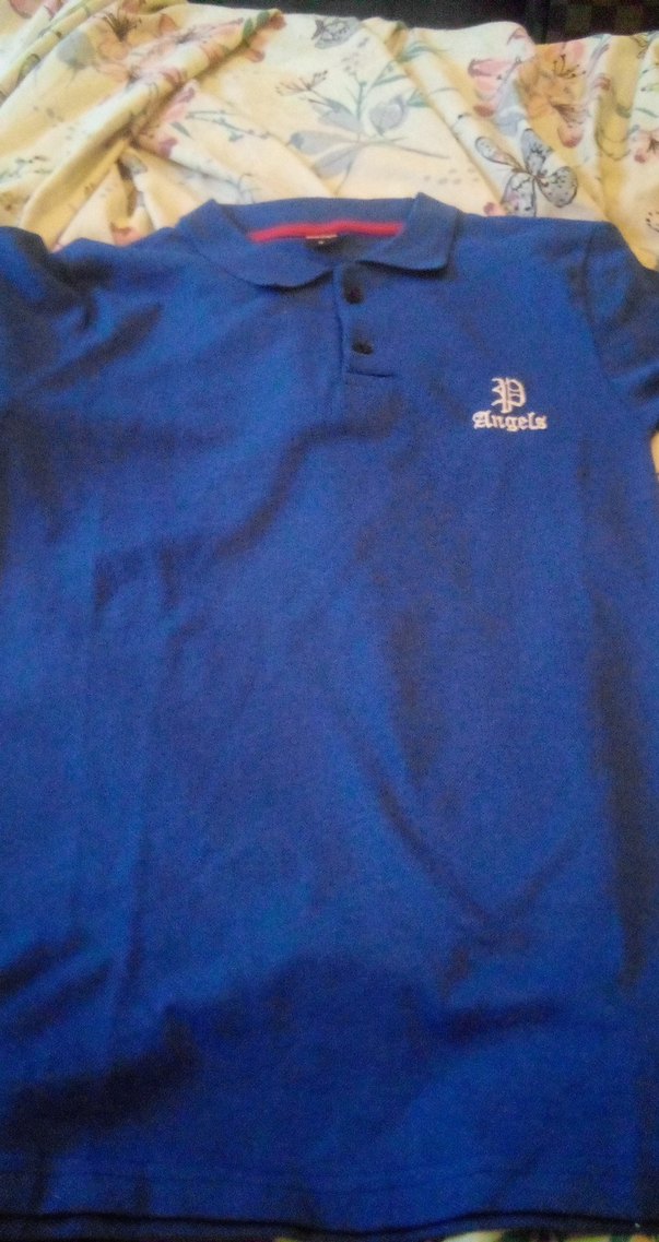 Erkek Mavi Polo Yaka Düğmeli Tişört - Görsel 2