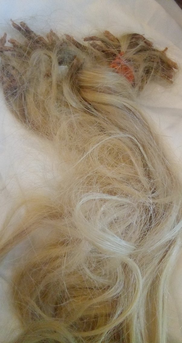 SAÇ KAYNAĞI 1 KEZ KULLANILDI 35 cm - Görsel 4