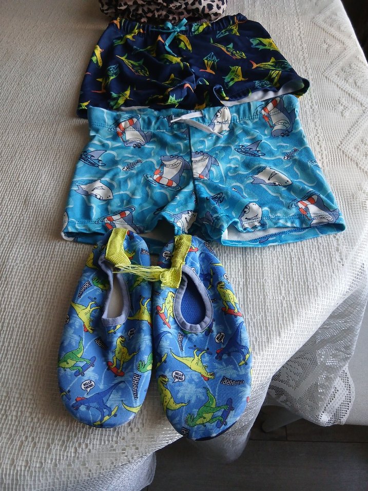 Erkek Çocuk Renkli Desenli Mayo ve deniz ayakkabısı - Görsel 2