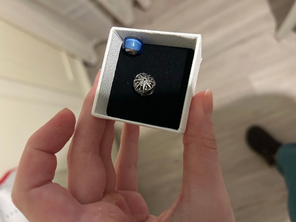 Pandora charm - Görsel 2