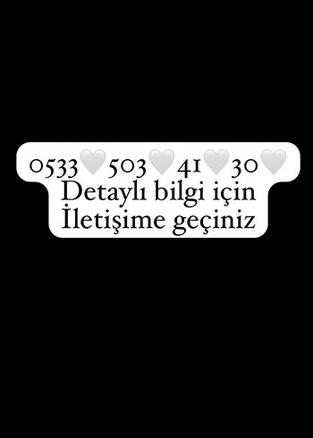 Uzun Kollu İşlemeli Uzun Abiye Elbise - Görsel 3