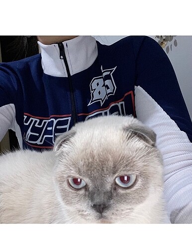 crop hırka