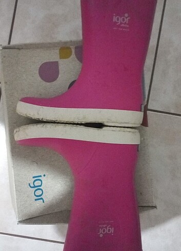 Igor 31 numara 