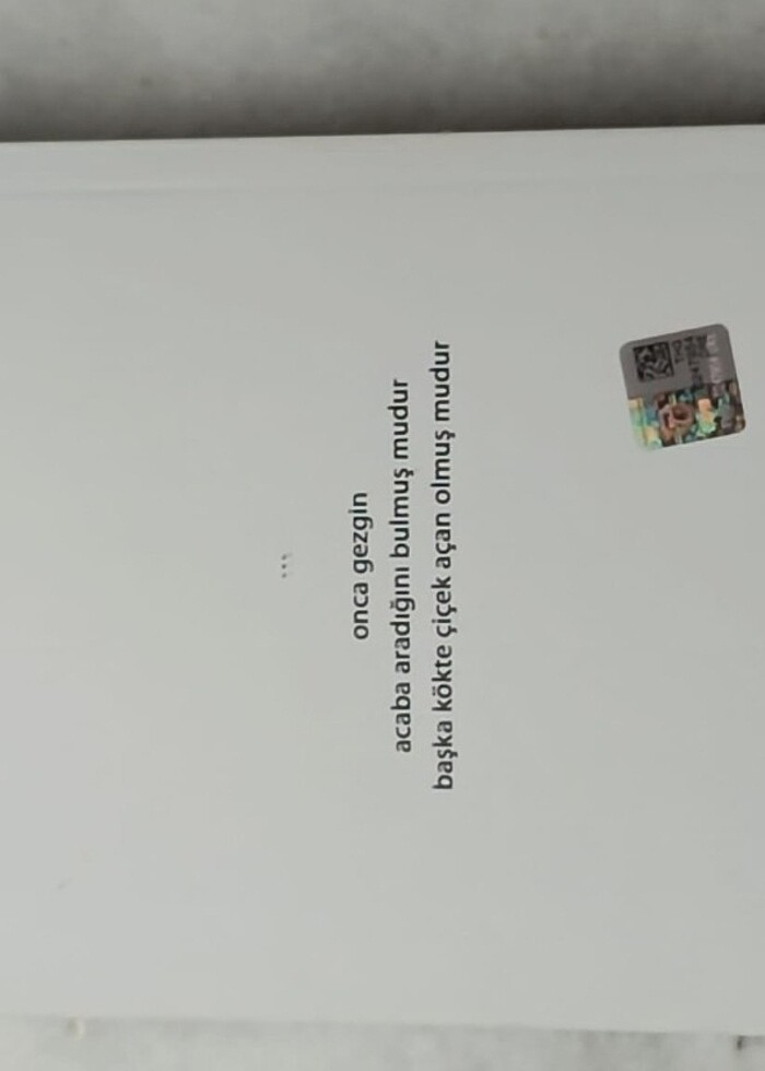 ŞENER AKSU AY SANDALI  - Görsel 2