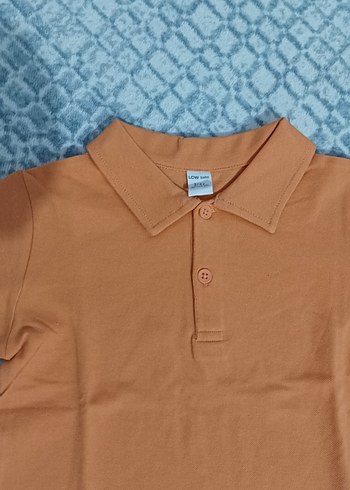 4 Yaş Beden Erkek Çocuk Kısa Kollu Pamuklu Polo Tişört