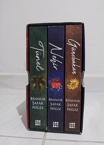 Binnur Şafak Nigiz İs serisi ilk 3 kitap kutulu set