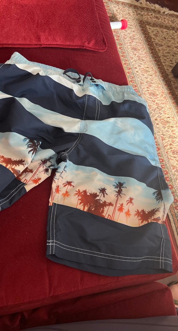 LC Waikiki Erkek Mayo - Görsel 2