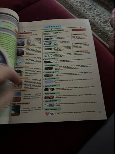 Coğrafya 9 Palme - Görsel 3