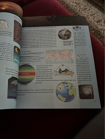 Coğrafya 9 Palme - Görsel 4