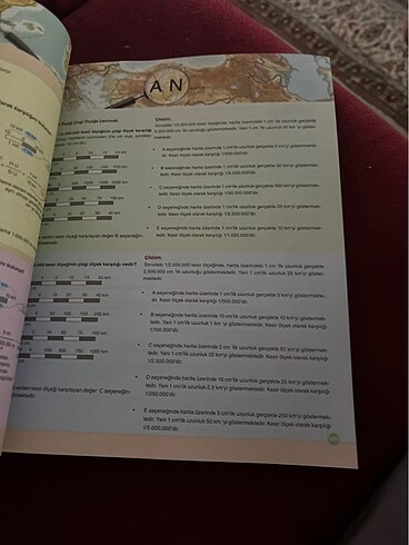 Coğrafya 9 Palme - Görsel 5