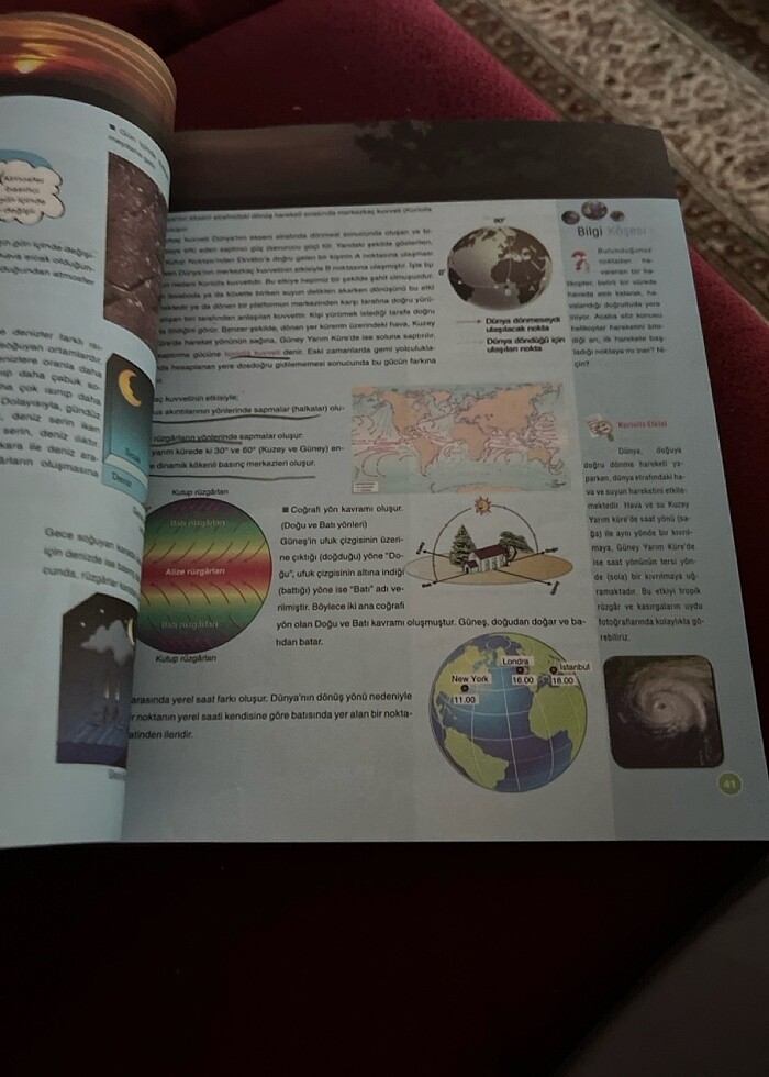 Coğrafya 9 Palme - Görsel 4