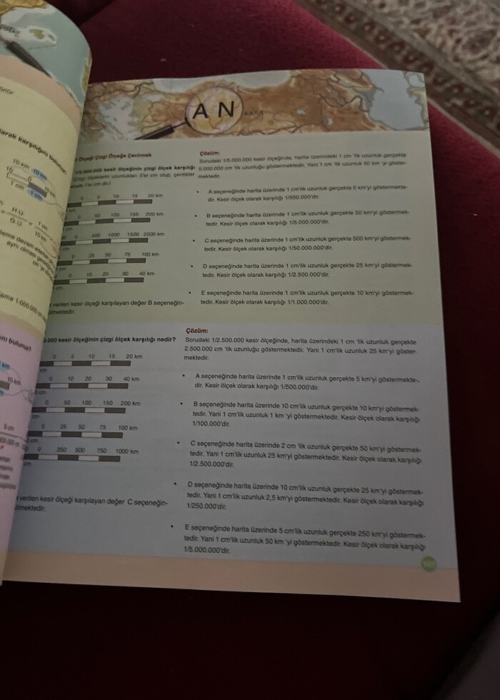 Coğrafya 9 Palme - Görsel 5