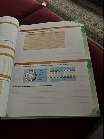 Palme Biyoloji 9 Konu anlatımı - Görsel 4