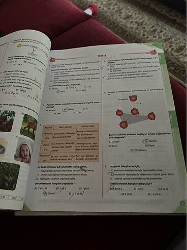 Palme Biyoloji 9 Konu anlatımı - Görsel 3