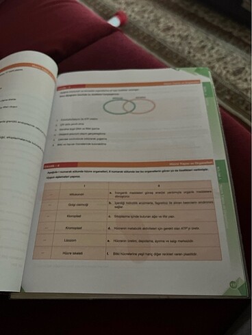 Palme Biyoloji 9 Konu anlatımı - Görsel 6