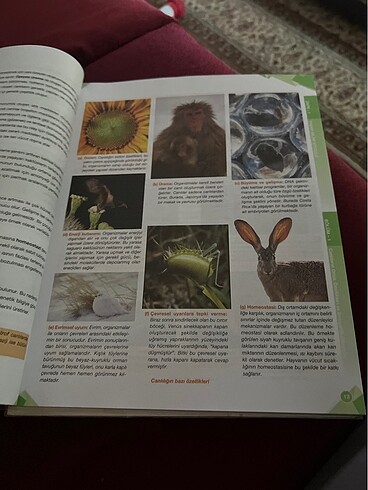 Palme Biyoloji 9 Konu anlatımı - Görsel 2