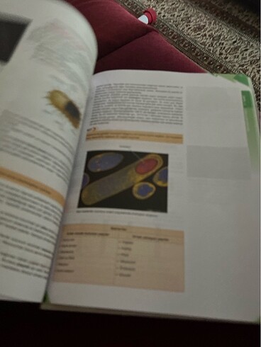 Palme Biyoloji 9 Konu anlatımı - Görsel 9