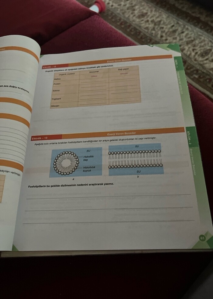 Palme Biyoloji 9 Konu anlatımı - Görsel 4