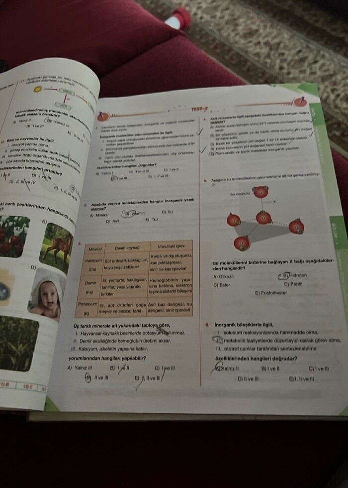 Palme Biyoloji 9 Konu anlatımı - Görsel 3