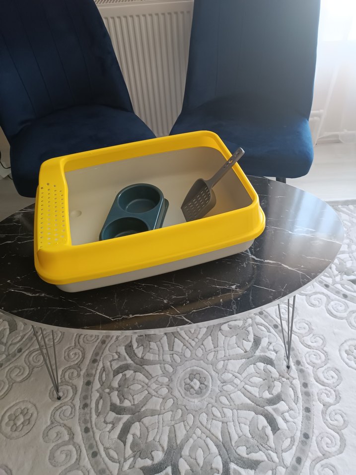 Sarı Kedi Tuvalet Kabı ve Gri Mama Kabı - Görsel 3