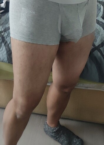 Gri Keseli Boxer