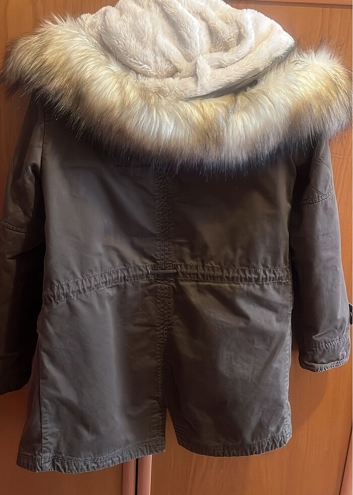 Mavi kaban - Görsel 4