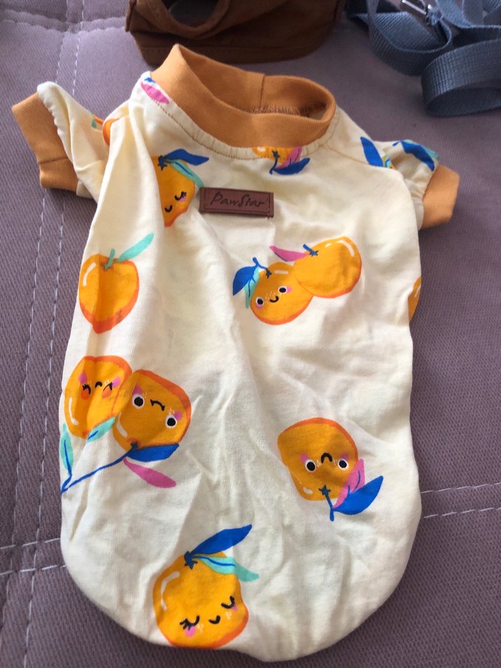 Sarı Baskılı Sokak Stili Kedi Kıyafeti - Görsel 3