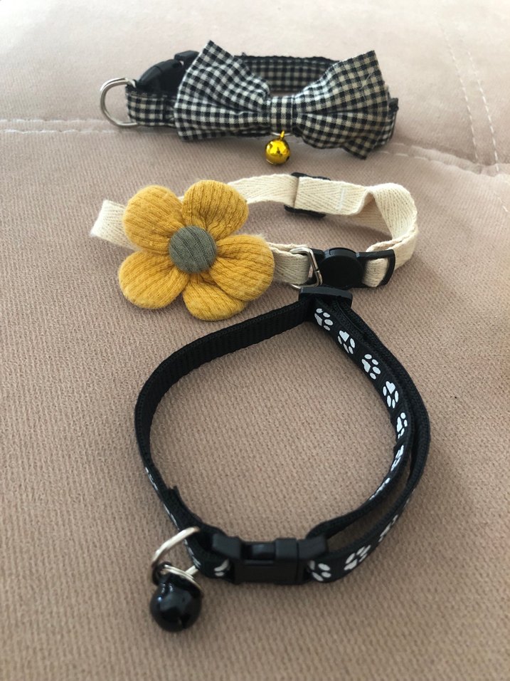 Sarı Baskılı Sokak Stili Kedi Kıyafeti - Görsel 2