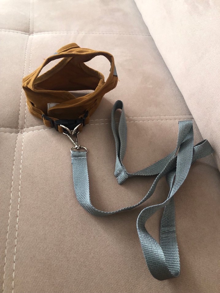 Sarı Baskılı Sokak Stili Kedi Kıyafeti - Görsel 4