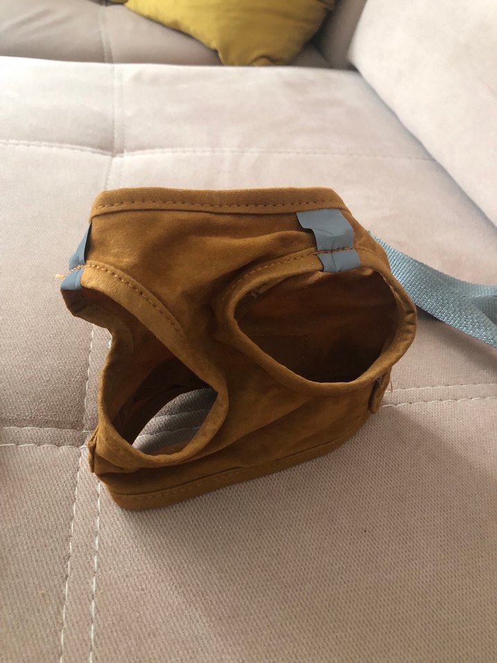 Sarı Baskılı Sokak Stili Kedi Kıyafeti - Görsel 5