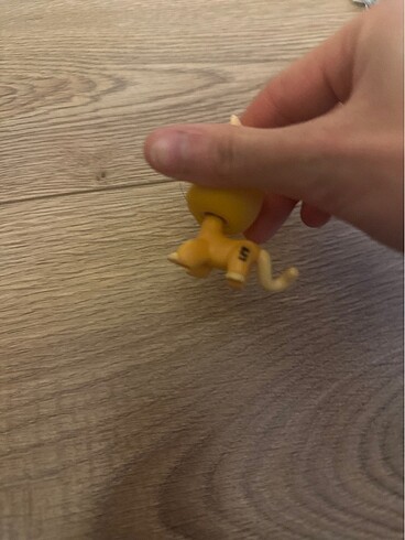  Beden Renk LPs minis